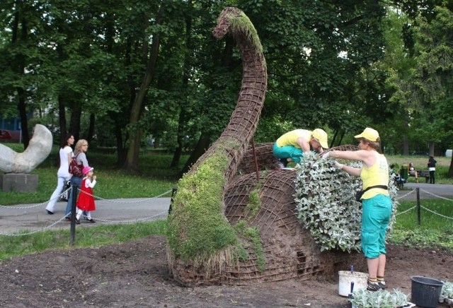 Pracownice Rejonowego Przedsiębiorstwa Zieleni rozpoczęły obsadzanie kwiatami konstrukcji łabędzia w parku miejskim.