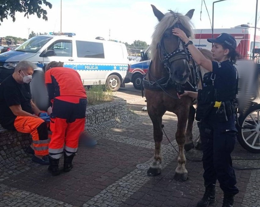 To było spokojne niedzielne, sierpniowe popołudnie....