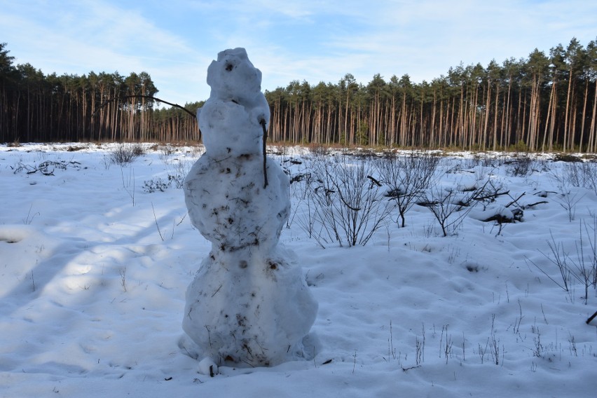 Zalew Koronowski skuty lodem, otulony śniegiem