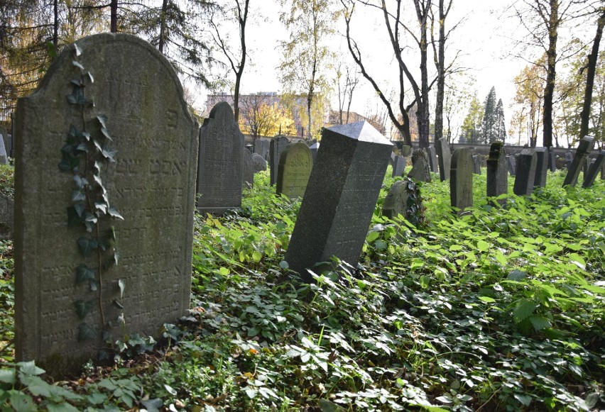 Niezwykła lekcja historii 1 listopada z dr Jackiem Proszykiem na zabytkowym cmentarzu żydowskim w Oświęcimiu [ZDJĘCIA]