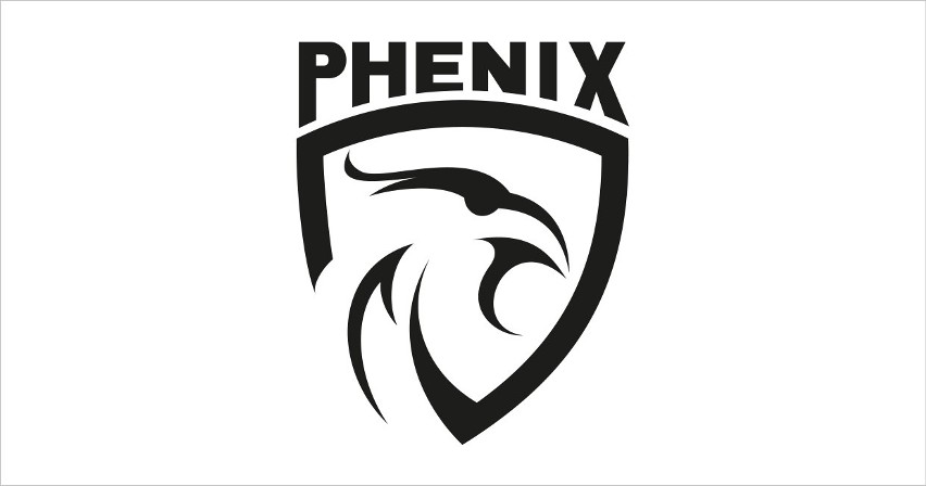 Phenix - Oferta pracy                                     