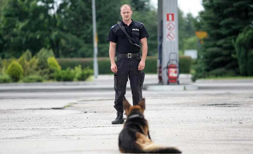 Egzamin psów policyjnych w Łodzi. Stój, bo użyję psa! [ZDJĘCIA+FILM]