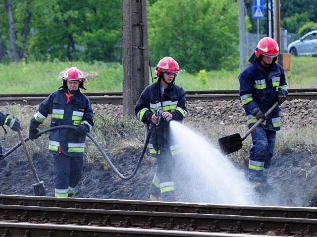 Spaliło się kilkadziesiąt metrów kwadratowych traw rosnących przy torach kolejowych.