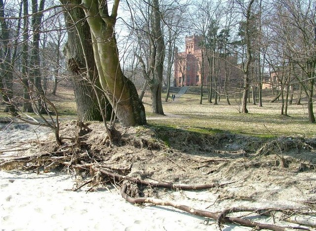 Brzeg morski i zabytkowy park w Rzucewie.