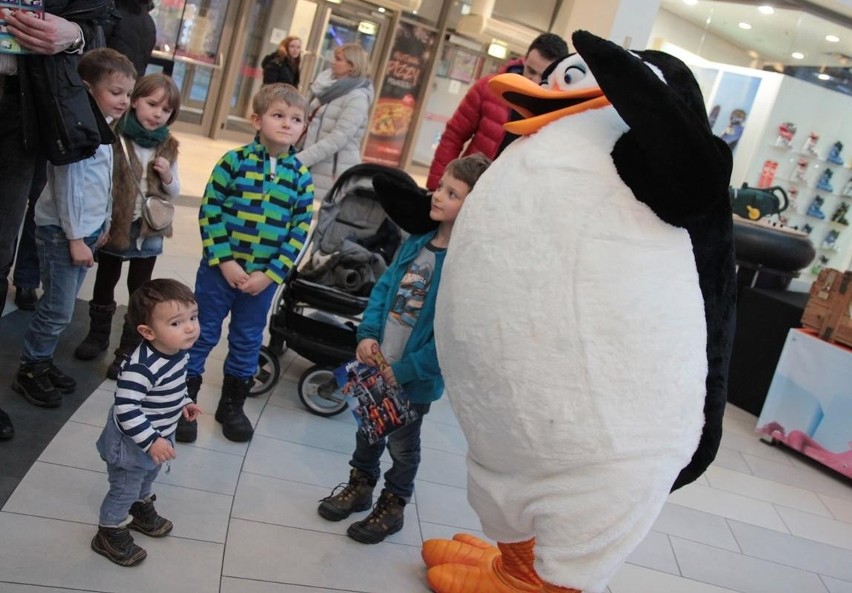 Pingwiny z Madagaskaru wylądowały w Krakowie [ZDJĘCIA]