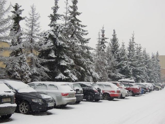 Zima zaatakowała - kierowcy muszą pamiętać o odśnieżaniu samochodów