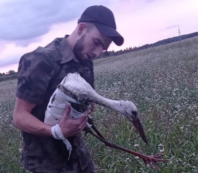 Członkowie Miasteckiego Stowarzyszenia Bezdomny Kundelek w ciągu jednego ratowali trzy bociany i to w różnych miejscowościach.