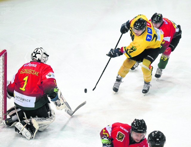 Rosną szanse na to, że także w kolejnym sezonie Hokej Ligi dojdzie do katowickich derbów pomiędzy HC GKS i Naprzodem Janów