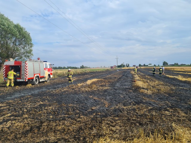 W czwartek 14 lipca po południu doszło do pożaru zboża i ścierniska w okolicach miejscowości Ociąż i Fabianów.