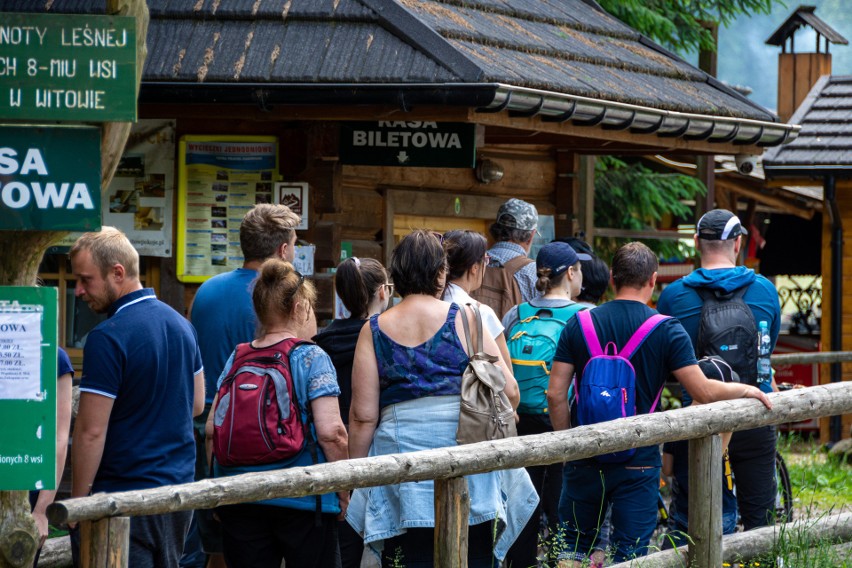 Tatry. W Dolinie Chochołowskiej prawdziwe tłumy! Gigantyczna kolejka przed wejściem [27.06.2021]