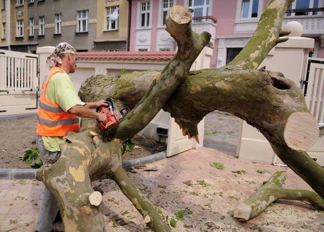 Obalone przez burze drzewo na ul DanielewskiegoObalone przez burze drzewo na ul Danielewskiego