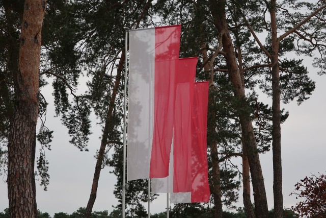 Wczoraj otrzymaliśmy kilka zdjęć przedstawiających centrum Kozienic udekorowanych flagami państwowymi na Narodowe Święto Niepodległości. W mieście z powodu pandemii koronawirusa nie będzie hucznych obchodów 102 rocznicy odzyskania niepodleglości przez Polskę. Warto chociaż przez wywieszenie flagi z narodowymi barwami zamanifestować swój patriotyzm i oddać cześć bojownikom o wolność Ojczyzny. Jeśli wywiesiłeś lub wywieszasz właśnie flagę, zrób zdjęcie i przyślij nam na facebooku, przedstaw się i podaj nazwę miejscowości, w której zrobiłeś zdjęcie, dołączymy je do galerii.