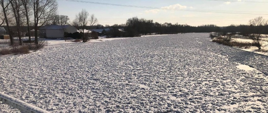 Pogotowie przeciwpowodziowe w gminie Warka. Strażacy i pozostałe służby pilnują stanu wody w Pilicy