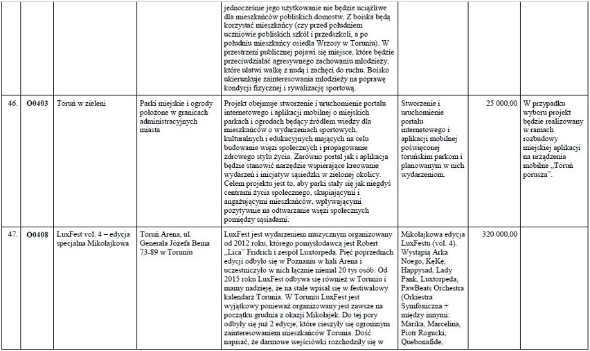 125 projektów zaproponowanych przez torunian trafi pod...