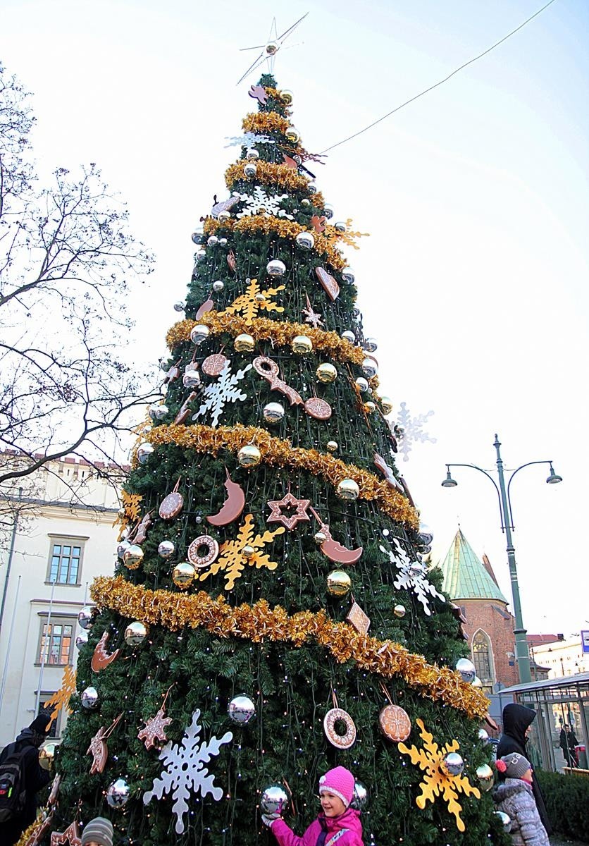 Choinka na Placu Wszystkich Świętych w 2014