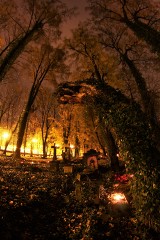 Najstarsze cmentarze w Żorach zachwycają po zmroku [GALERIA]