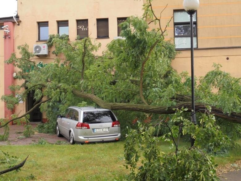 Skutki nawałnicy w Kolumnie w 2017 r.