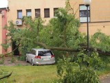 Ostrzeżenia przed burzami w Łódzkiem. Pamiętacie, jak trąba powietrzna szalała pod Łodzią? ZDJĘCIA