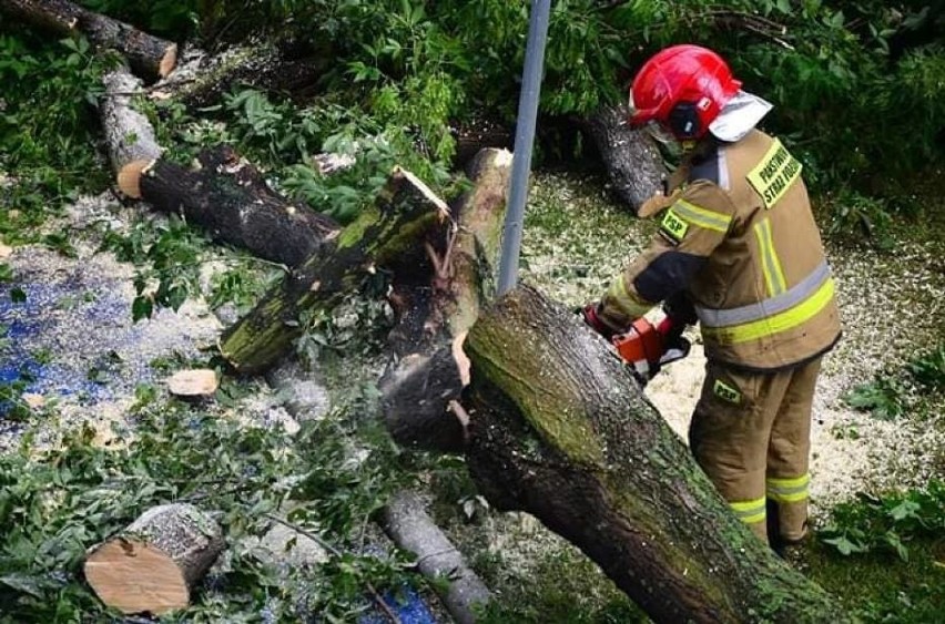Nawałnica w Łódzkiem! Połamane drzewa, zniszczone samochody! Wystarczyło kilka minut. ZDJĘCIA