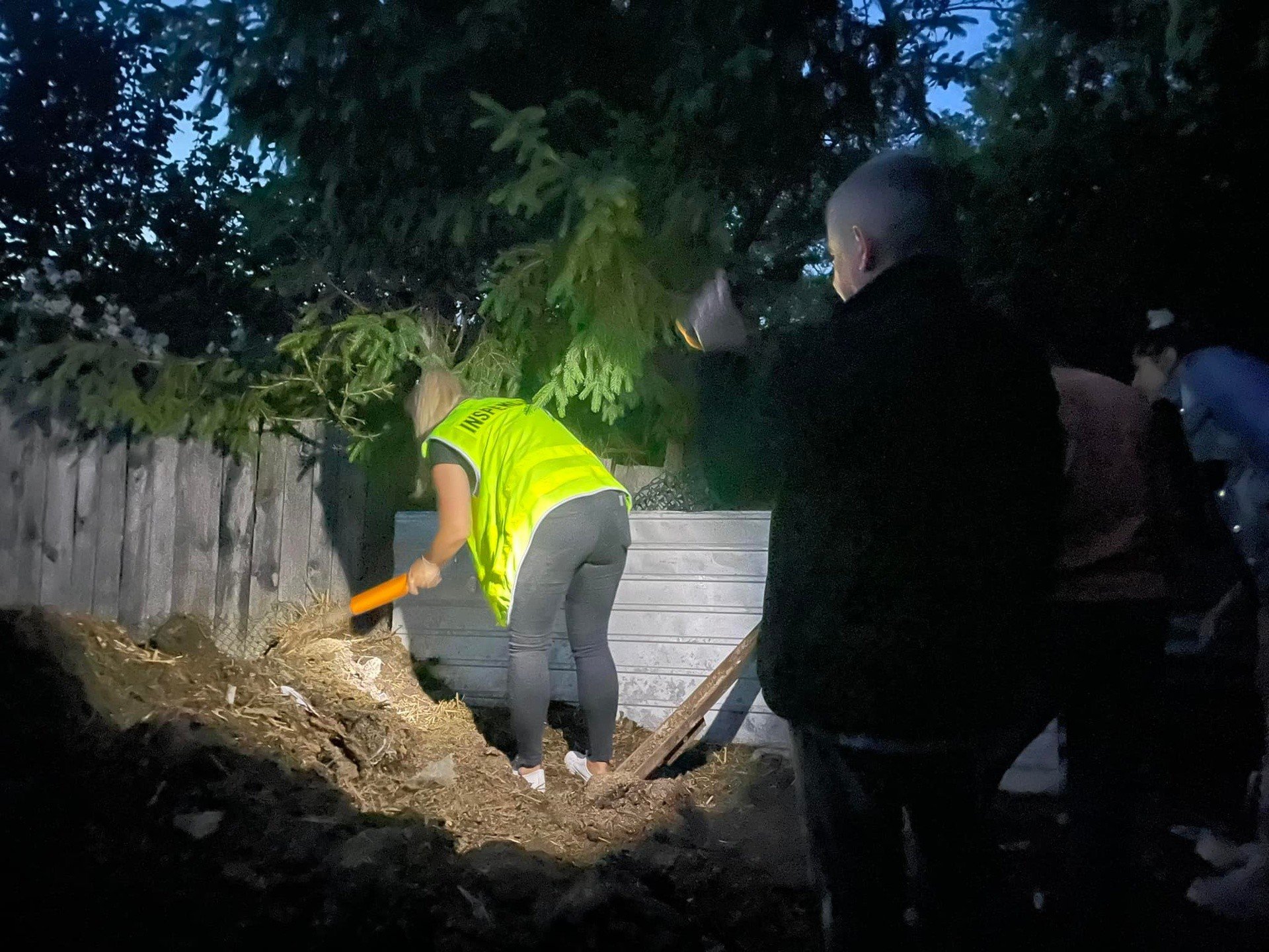 Bestialstwo pod Opolem. Mężczyzna mordował psy i wyrzucał na obornik. Tak chciał je ukarać | Nowa Trybuna Opolska