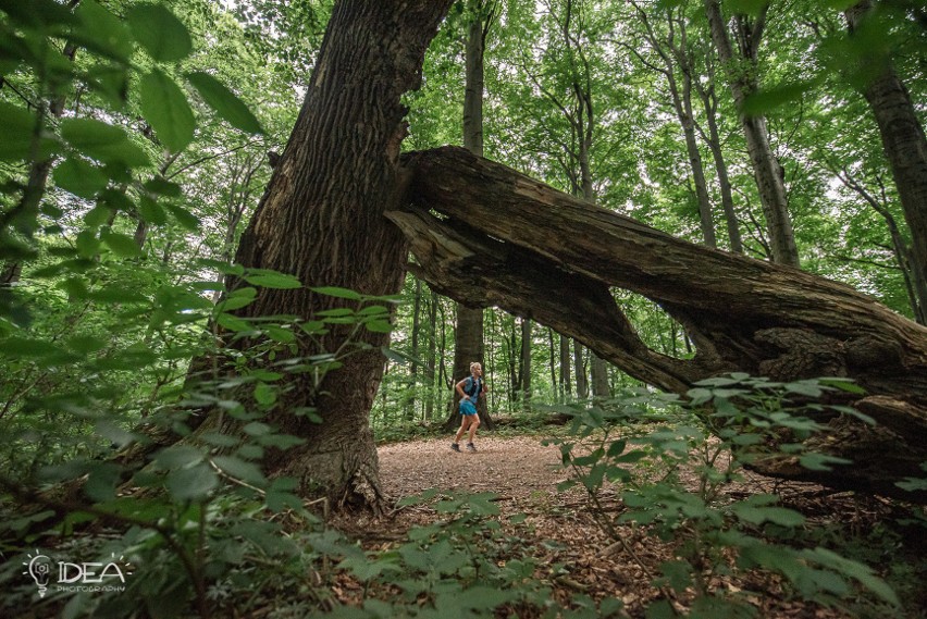 PATRONAT. Tłum biegaczy wziął udział w Pogórze Ultra Trailu. Tunele schronowe na trasie