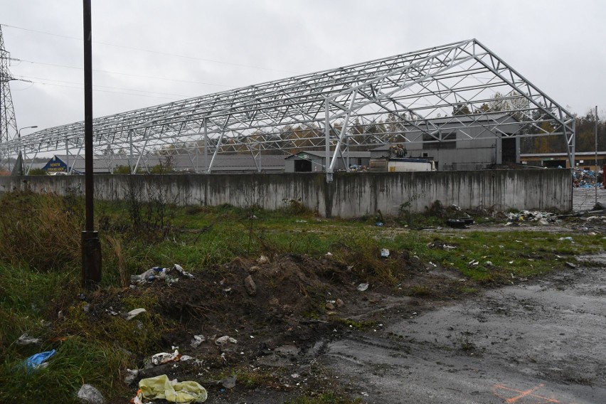 Na składowisku śmieci przy ulicy Zagnańskiej w Kielcach, na...