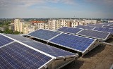 Łódź stawia na fotowoltaikę. Magistrat wspólnie z partnerami chce produkować energię ze słońca