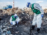 Pożar wysypiska śmieci w Zgierzu. Greenpeace o glebie w Zgierzu: Stężenie niebezpiecznych substancji dramatycznie wysokie [ZDJĘCIA]