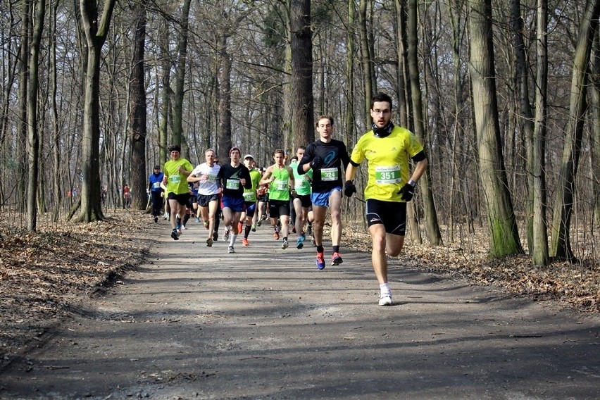 Zakończył się cykl biegów Grand Prix "zBiegiemNatury"