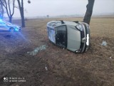 Wypadek w Dylewie. Renault wypadło z drogi. Samochód zatrzymał sie na drzewie