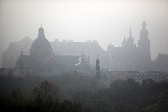 Gdyby zastosować błękitny węgiel w Krakowie, smog zniknąłby z dnia na dzień