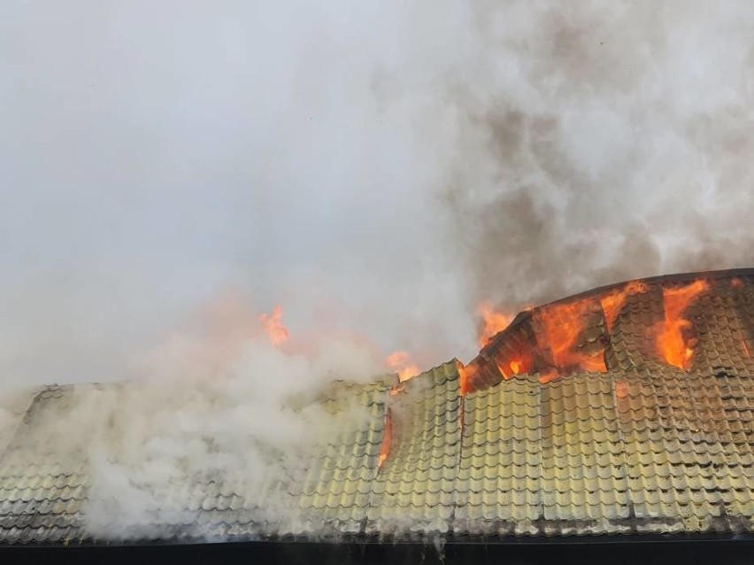 Pożar w Barnowie w gminie Kołczygłowy. Płonie budynek inwentarski. 20.07.2020 r. Wszystkie zwierzęta ewakuowane. Na miejscu 14 zastępów