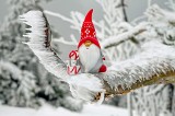 Kiermasz Świąteczny i uroczyste odpalenie choinki na Placu Wolności w Wodzisławiu