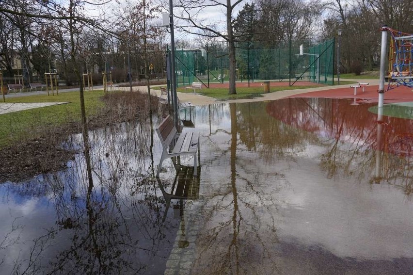 Podtopiony park Wodziczki. Tak ten teren prezentował się w...