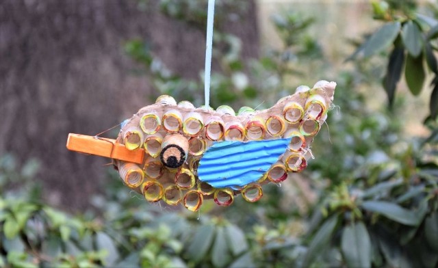Młodzi plastycy zaskoczyli stworzonymi przez siebie ptakami, które mają… odstraszać komary!