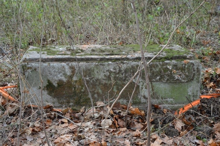 W lasu w Jastrzębiu znaleziono XIX-wieczną wannę