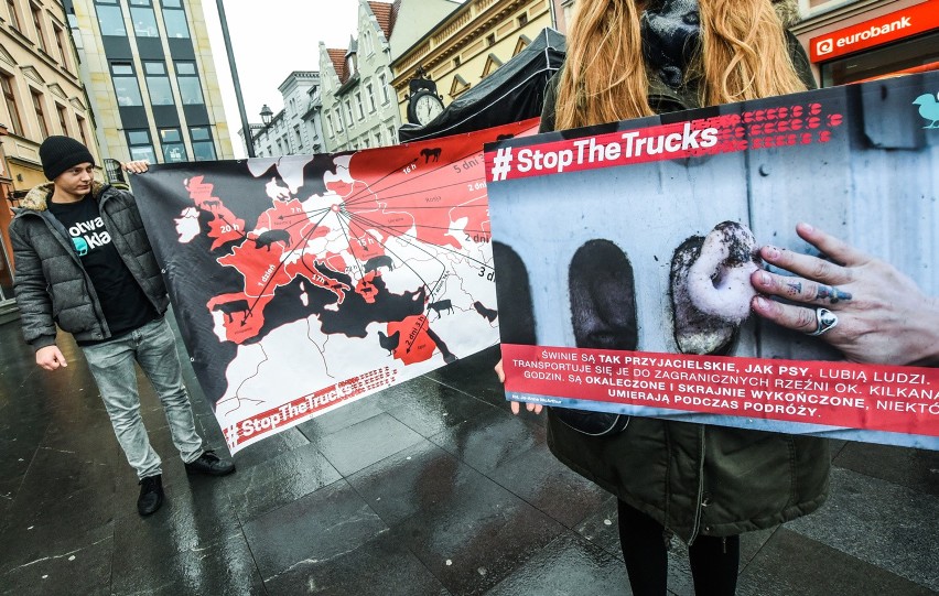 Akcja Stop the Trucks w Bydgoszczy