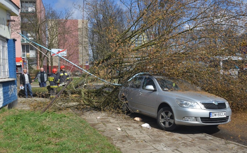 Wichura w Łodzi. Drzewo runęło na samochód. Jedna osoba ranna 