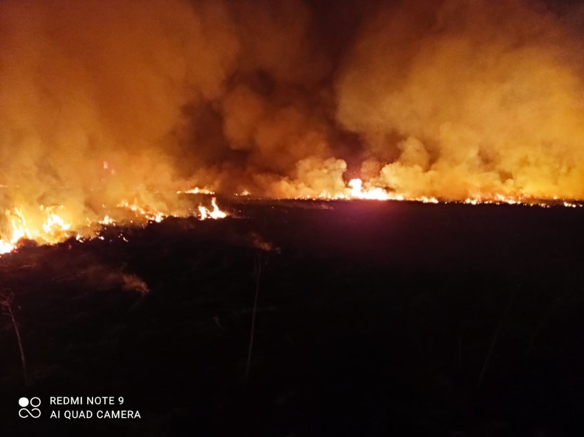 Strażacy gasili groźny pożar traw w Michałowie [ZDJĘCIA]