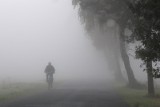 Gęsta mgła na Podkarpaciu utrudnia ruch na drogach. Lotnisko w Jasionce sparaliżowane