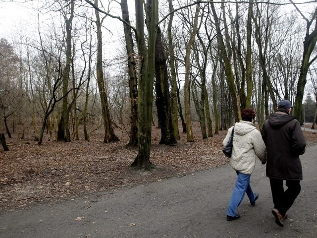 Nie udało się z zamianą całego terenu, więc park zostanie sprzedany. Miasto proponuje teraz marszałkowi inne rozwiązanie &#8211; jeśli otrzyma część działki, przygotuje parking dla okolicznych mieszkańców.