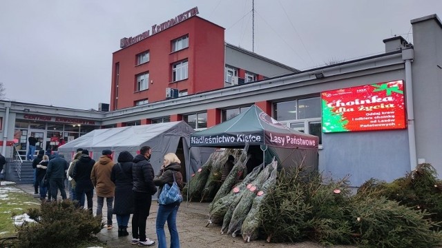 Co roku przed Krwiodawstwem w Kielcach są tłumy ludzi.