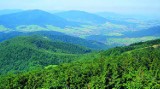 Szlaki Papieskie w Małopolsce (cz. 5). Beskid Wyspowy