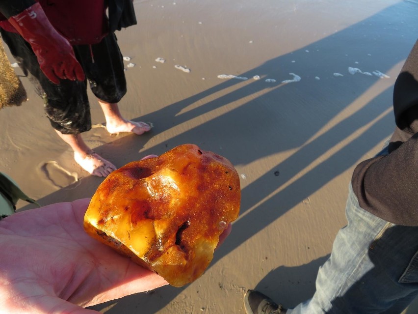 Bursztyn na plaży w Ustce. Zobacz jak zbierać i ile kosztuje [ZDJĘCIA] 