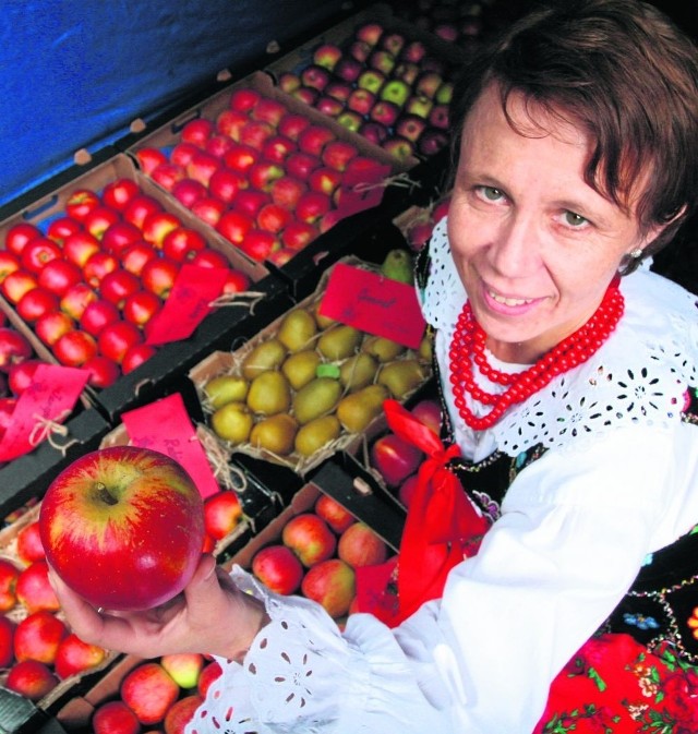 Wiktoria Nowińska, sołtyska Czerńca w gminie Łącko, żartuje, że sadownikom przyjdzie powrócić do rajskich czasów i kusić konsumentów ładnymi, smakowitymi owocami niczym Ewa Adama