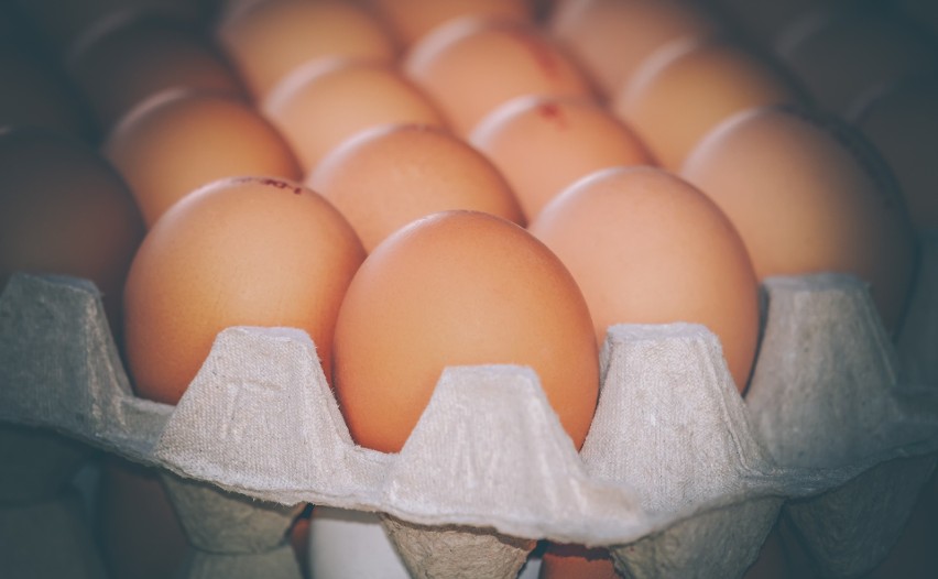 UWAGA! GIS ostrzega przed Salmonellą na jajkach z NETTO. O który produkt chodzi?                                                            