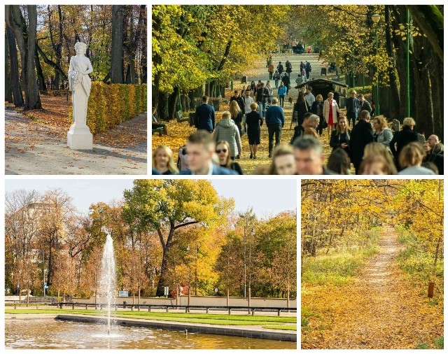 Złota polska jesień zawitała do Białegostoku. W parkach można zobaczyć mnóstwo spacerowiczów cieszących się z pięknej pogody. Zobacz, jak wyglądają Ogrody Branickich, Planty i Las Zwierzyniecki podczas tej pięknej pory roku.