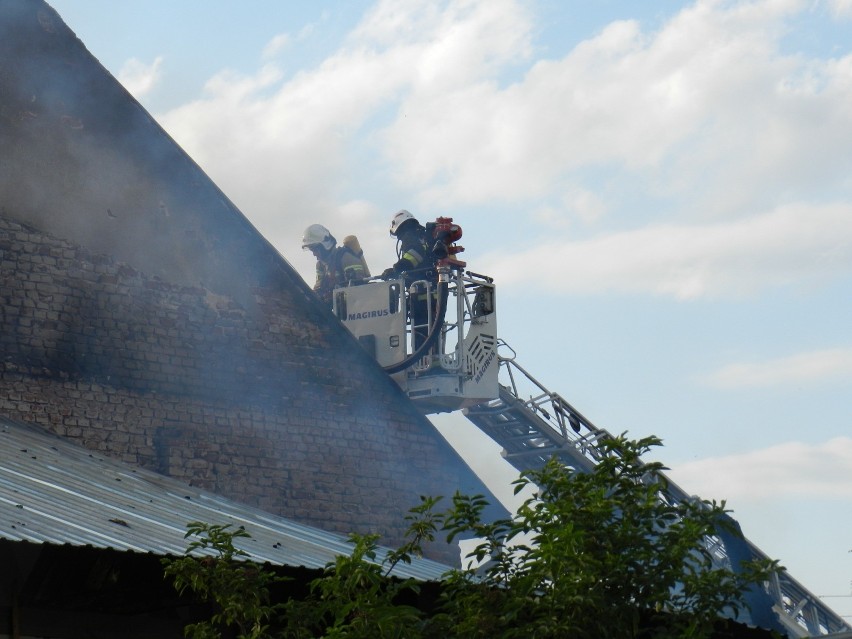 19 zastępów straży gasi pożar stodoły w Ligocie Wołczyńskiej