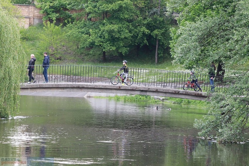 Park im. Sienkiewicza we Włocławku zostanie przebudowany na...