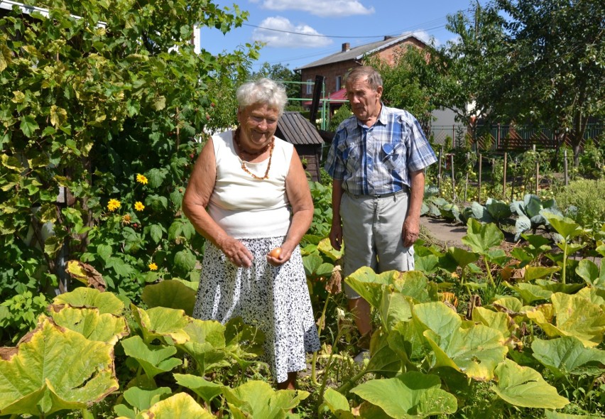 Ogród Danuty i Jerzego Kacprzaków z Wielgiego to powód do dumy!